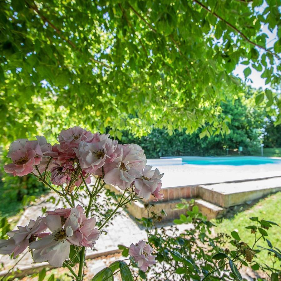 Borgo Del Nibbio Apartment Porto Levante Екстериор снимка