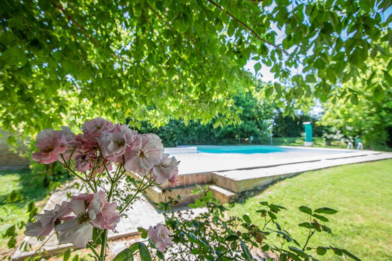 Borgo Del Nibbio Apartment Porto Levante Екстериор снимка